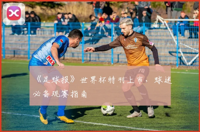 《足球报》世界杯特刊上市，球迷必备观赛指南